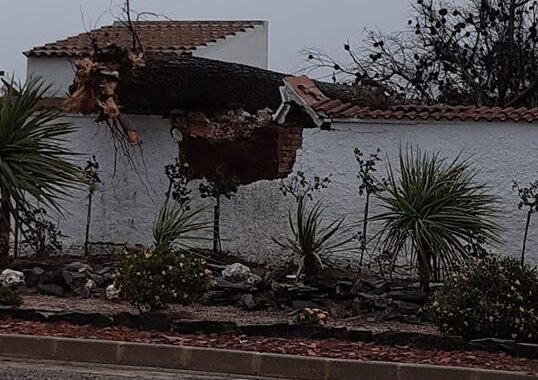 Arbol caído debido a los fuertes vientos de la borrasca Daniel