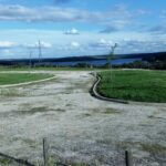 Continúa abierta la investigación para tratar de esclarecer varios casos de animales envenados en Orellana la Vieja