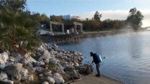 Tratamiento contra el Virus del Nilo en Orellana la Vieja 2