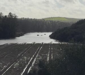Parcela inundada en Orellana la Vieja COSTA DULCE RADIO