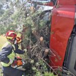 Rescatan al conductor de un tráiler tras volcar en la N-430