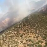 Un incendio en plena ZEPA Embalse de Orellana y Sierra de Pela moviliza a numerosos medios