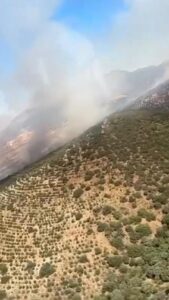 Incendio en la ZEPA Embalse de Orellana y Sierra de Pela PLAN INFOEX