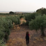 Orellana acoge este viernes la proyección del documental ‘Hasta encontraros. Desaparecidos en el frente de Extremadura’