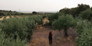 Una toma del documental Hasta encontraros - Desaparecidos en el frente de Extremadura
